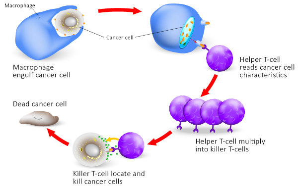 Immunotherapy