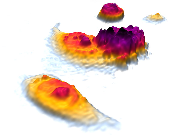 Apoptotic-cells-600×450
