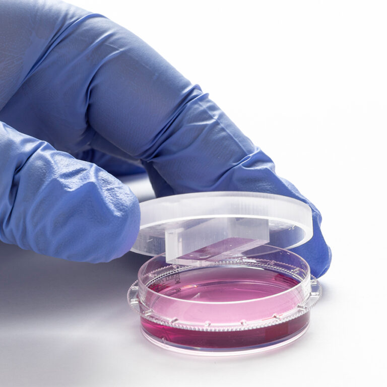 Incubator Microscope Live Cell Analysis in Your Incubator HoloMonitor®