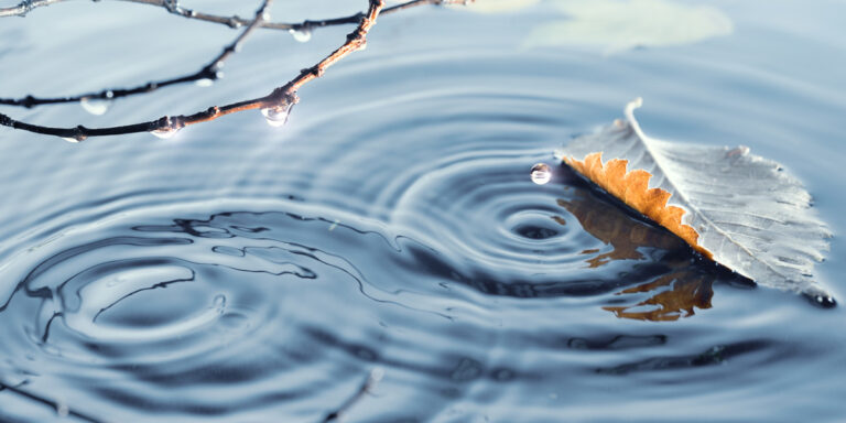 Wave interference