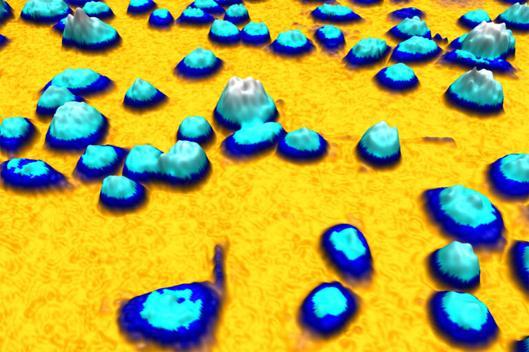 3D quantitative phase image of Jimt-1 cells Live cell imaging, 3D, quantitative phase imaging, Jimt-1 cells
