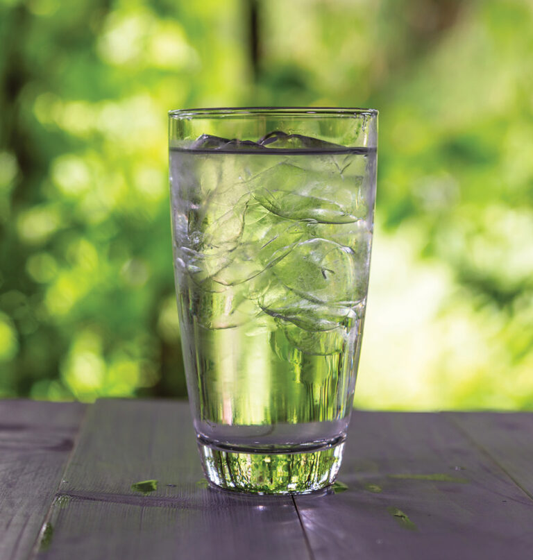 Water glass with ice cubes Water glass with ice cubes