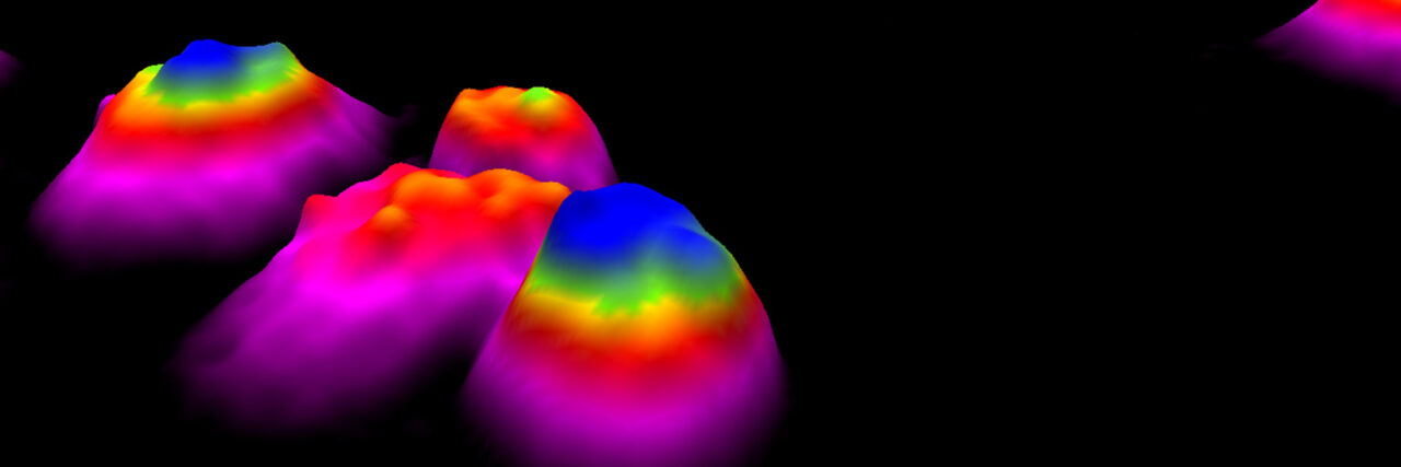 Cell morphology thesis 03 image