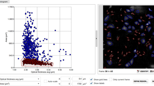 HoloMonitor cell morphology assay: cell morphology analysis using gated scatter plot
