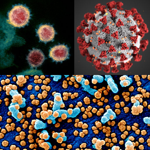 SARS-CoV-2 virus