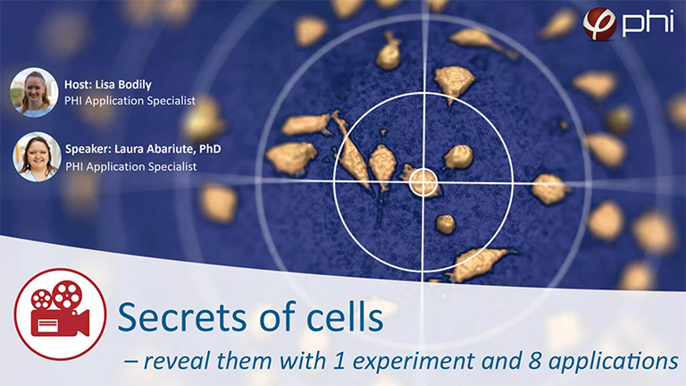 Live cell imaging webinar - secrets of cells
