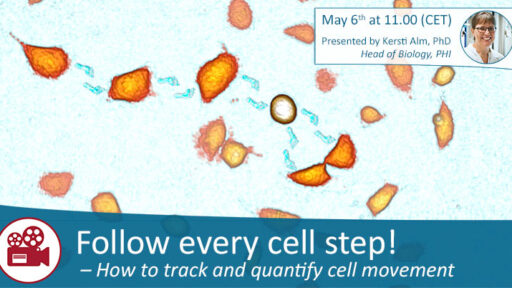 Live cell imaging - webinar follow every cell step