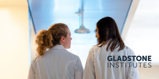Gladstone Banner