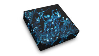The spectacular live-cell image was created by overlaying HoloMonitor time-lapse images in a single image, where time is shown along the z-axis.
