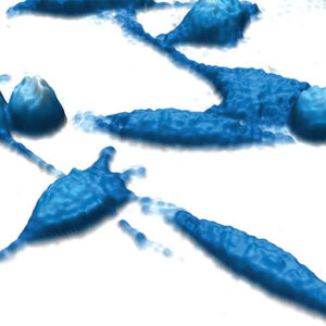 Live cell imaging webinars, holographic phase image of live cells digitally colored in blue