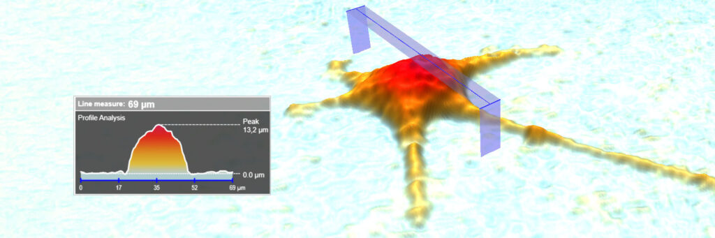 Single-cell Analysis Banner Single-cell analysis, measuring the height profile of a single cell.