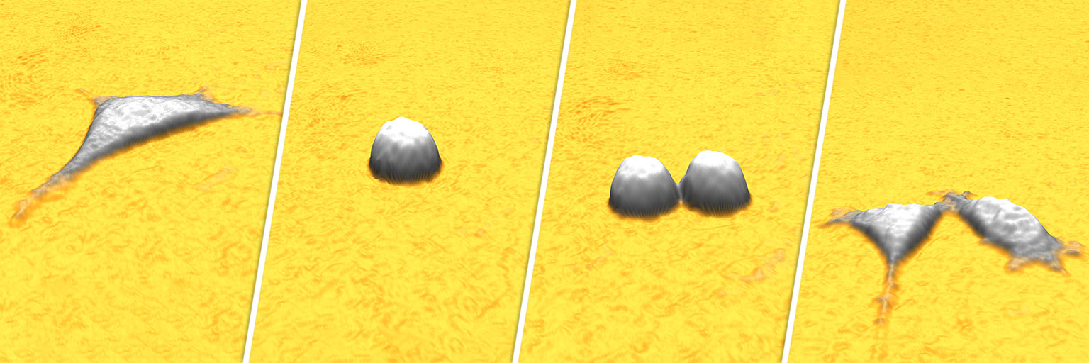 White cells on yellow background. Four panels showing a cell divide into two.