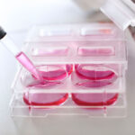 Pipetting with Hololid in 6-well microplate