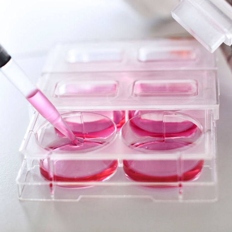 Pipetting with Hololid in 6-well microplate imaging inside incubator microscope