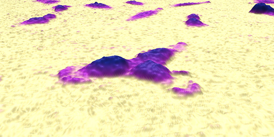 Three purple A549 cells on bright yellow background. They all originate from one single mother cell.