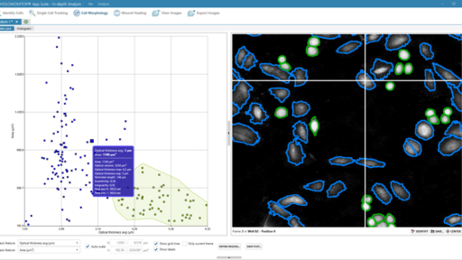 Interactive scatter plot created by HoloMonitor live cell imaging system. In the scatter plot, cells are visualized by hovering over the corresponding data point.