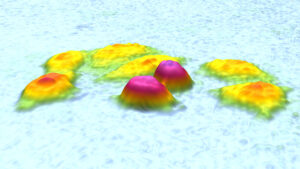 Zoomed view of yellow L929 cells on a bright blue background