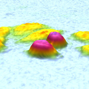 Zoomed view of yellow L929 cells on a bright blue background