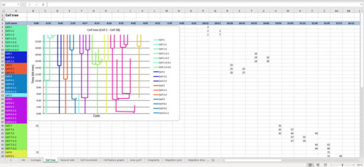 Image showing a cell tree in Excel with differently colored lines for different cell families