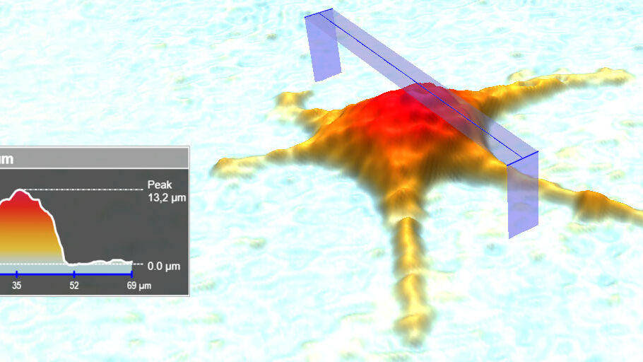 Single-cell analysis, measuring the height profile of a single cell.