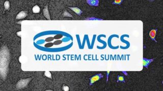 World Stem Cell Summit logotype with cell background