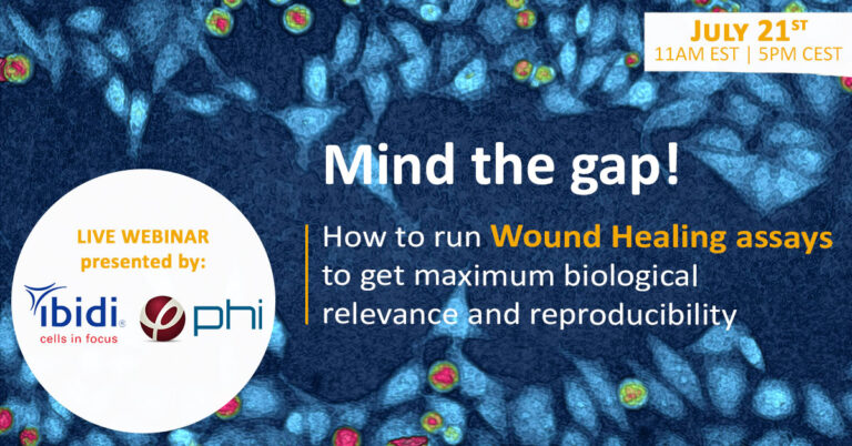 wound healing scratch assay webinar