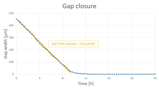 A line chart from a wound healing assay showing a decreasing gap width with time. The slope equals the cell front velocity (23.4 µm/h)..