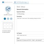cell morphology assay setup