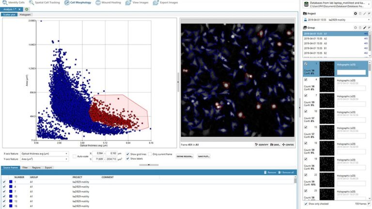 Cell morphology scatter plot
