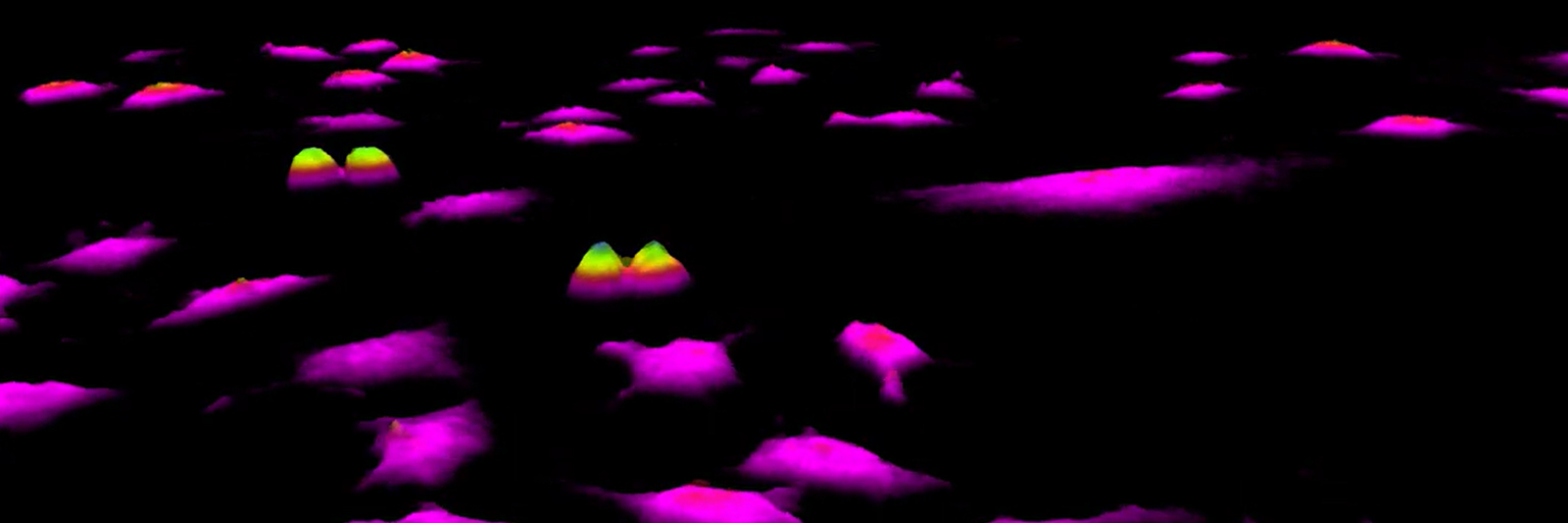 cell proliferation cell banner