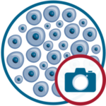 general-capture-icon