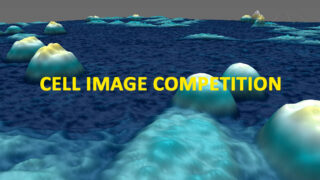 cell image competition with jellagen blog