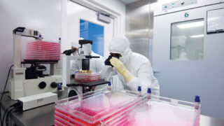 Cell culture quality control at a leading contract manufacturer of cell therapies.