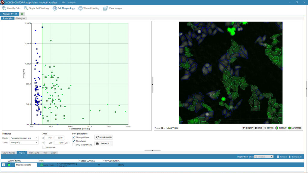 Morphology screenshot from App Suite showing a dotplot and green fluorescent cells