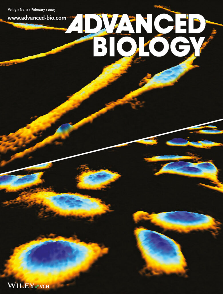 A journal cover from Advanced Biology with yellow and blue melanocytes and melanoma cells.