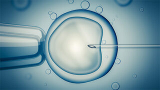 Schematic, blue image of an egg cell held by a pipette.